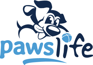 Paws Life Dog Pet Boarding Daycare Grooming